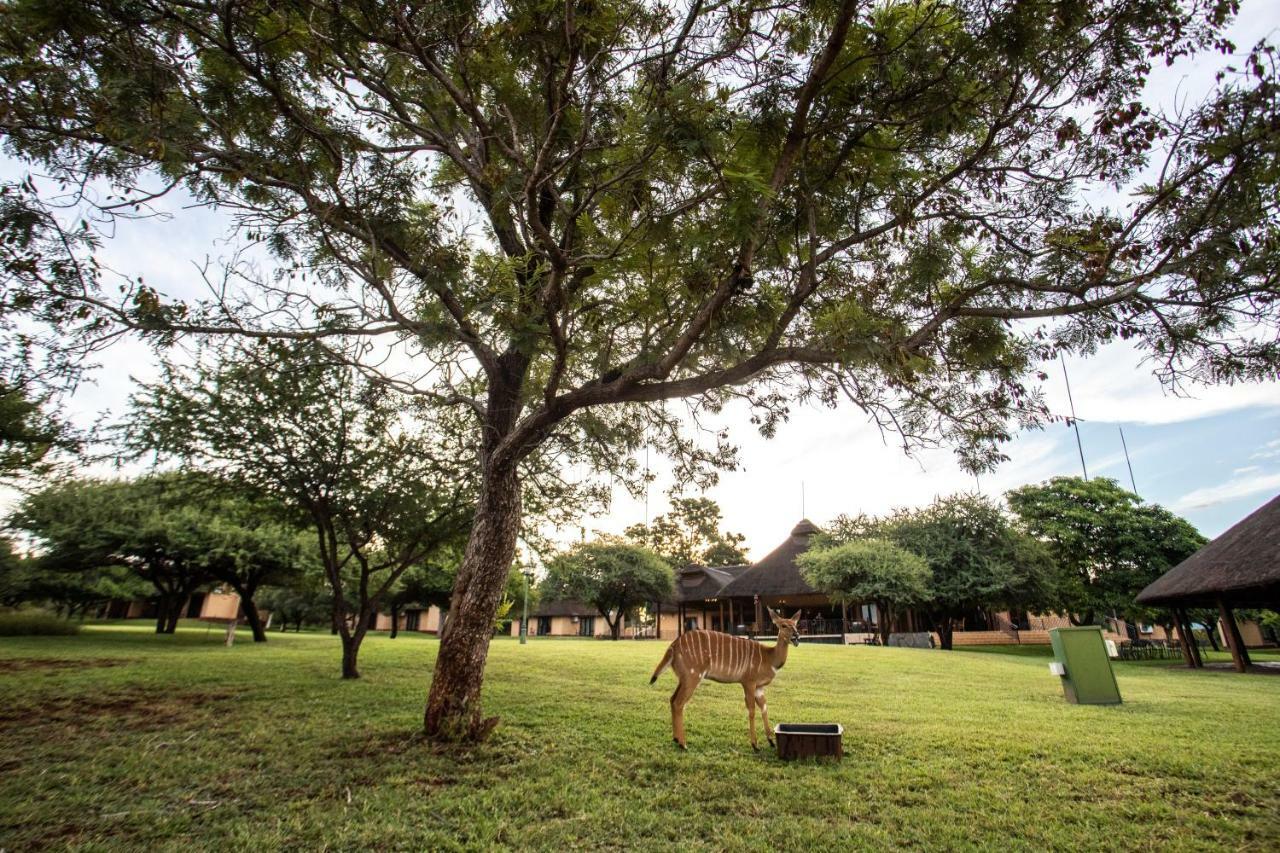 Lapeng Guest Lodge Бургерсфорт Экстерьер фото